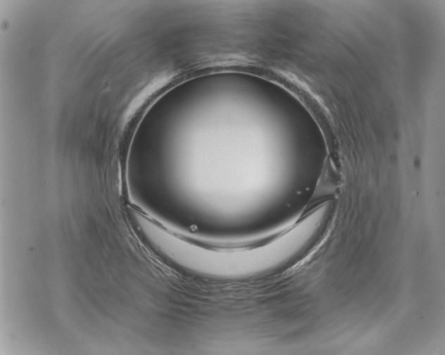 X0000070191317200606161541