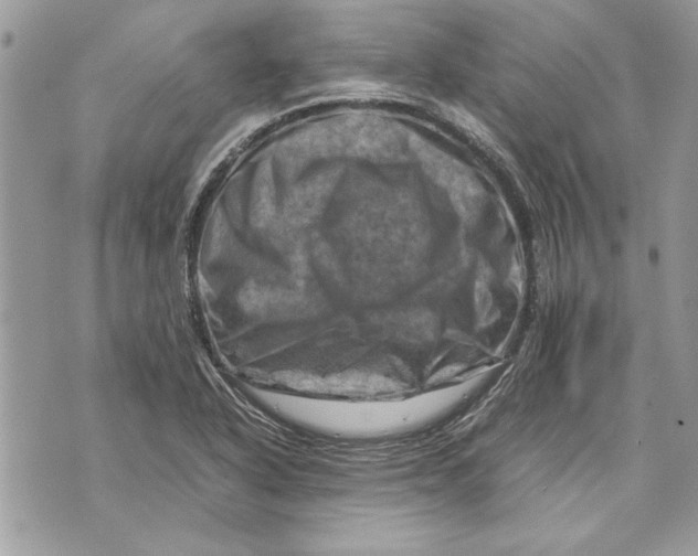 X0000070191318200606161541