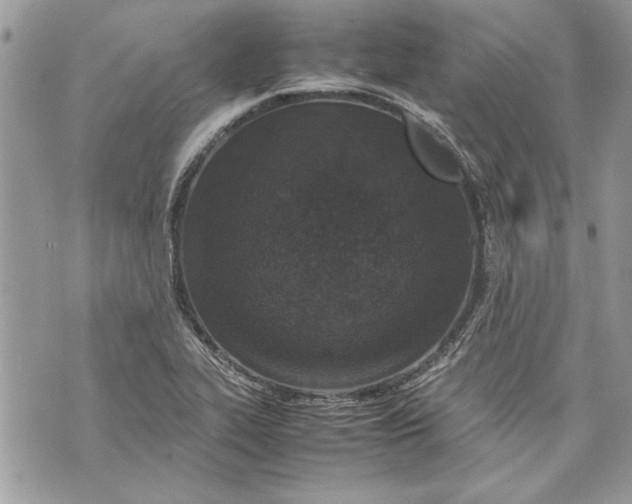 X0000070191319200606161541