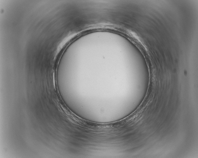 X0000070191320200606161541