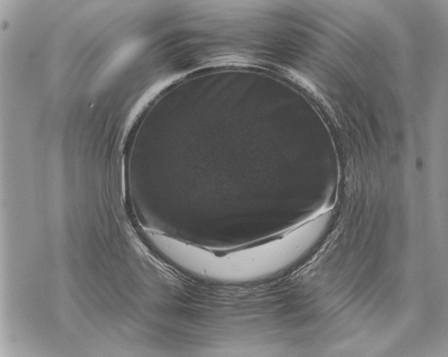 X0000070191323200606161541