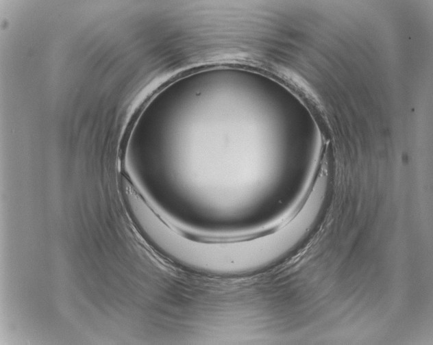 X0000070191324200606161541