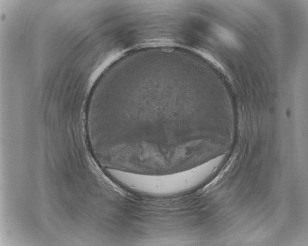 X0000070191325200606161541