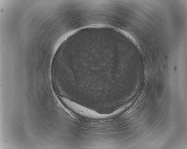 X0000070191327200606161541