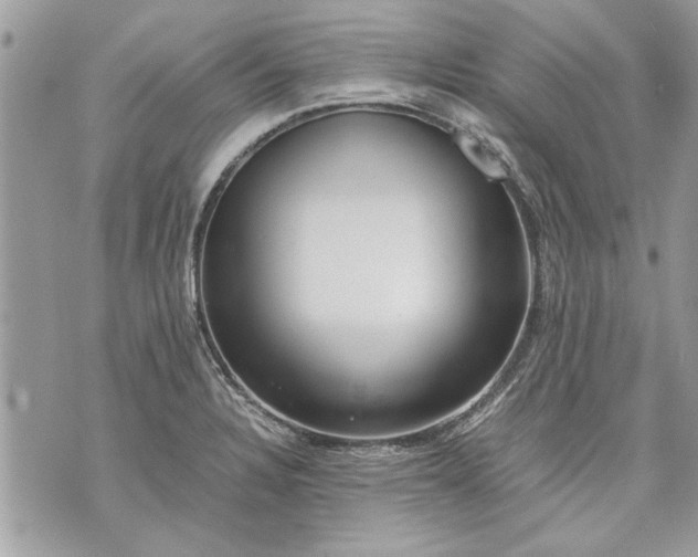 X0000070191328200606161541