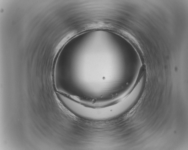 X0000070191330200606161541