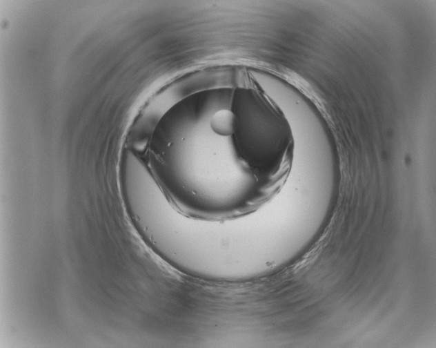 X0000070191334200606161541