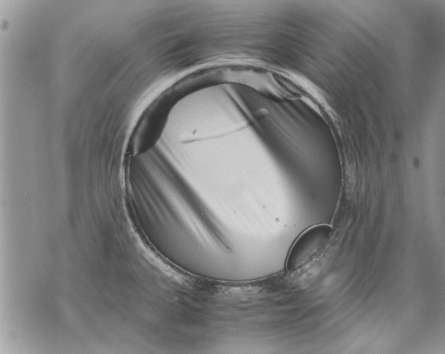 X0000070191335200606161541