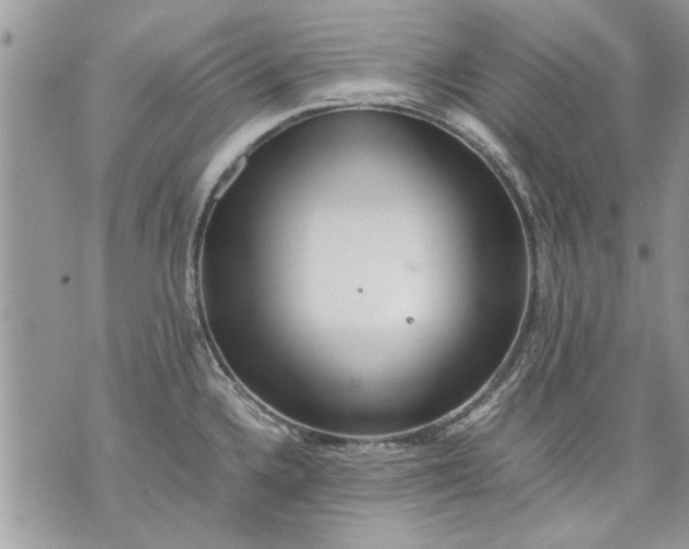 X0000070191336200606161541