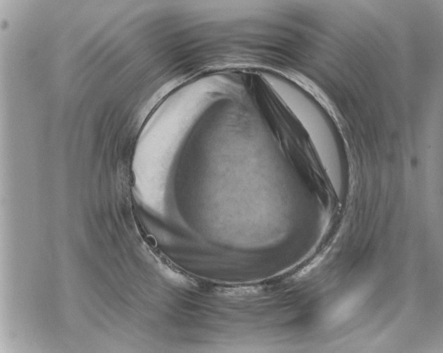 X0000070191337200606161541