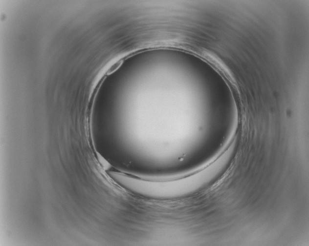 X0000070191340200606161541