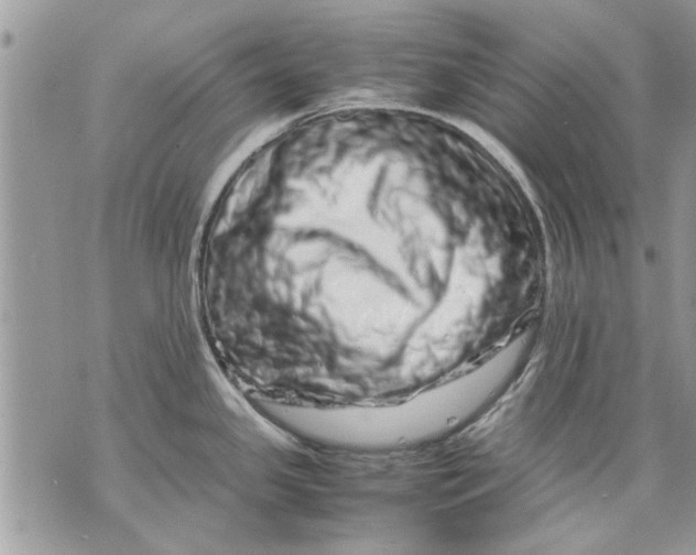 X0000070191341200606161541