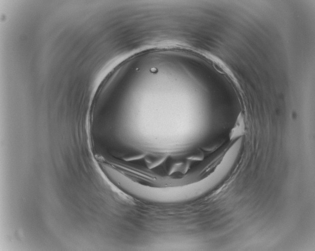 X0000070191343200606161541