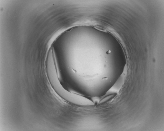 X0000070191344200606161541