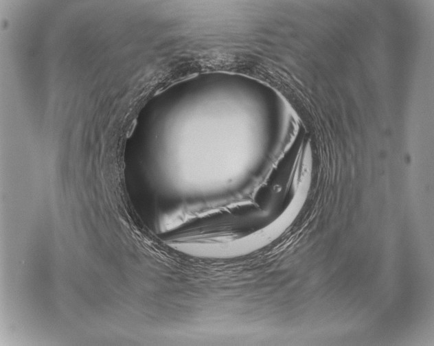 X0000070191345200606161540