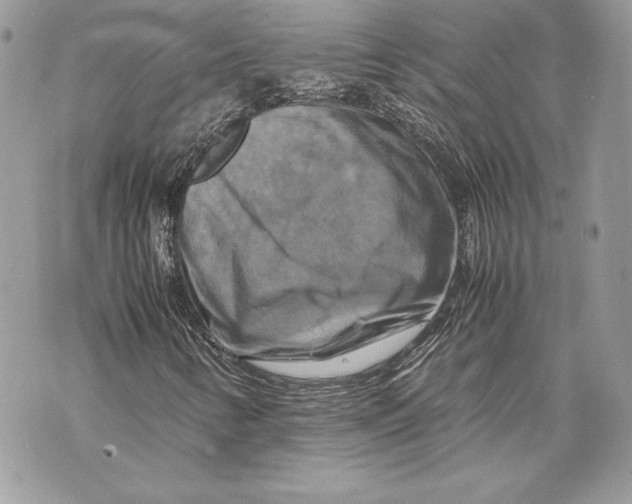 X0000070191346200606161540