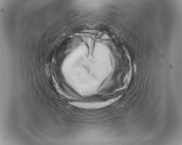 X0000070191347200606161540