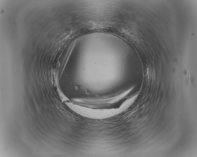 X0000070191348200606161540