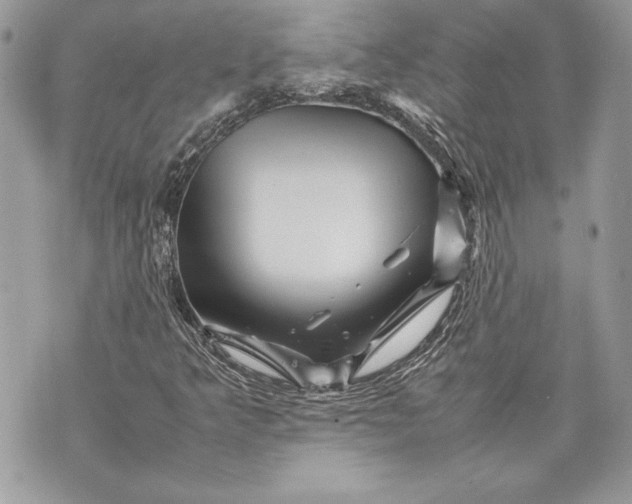 X0000070191349200606161540