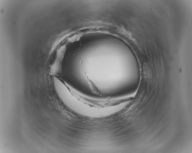 X0000070191352200606161540