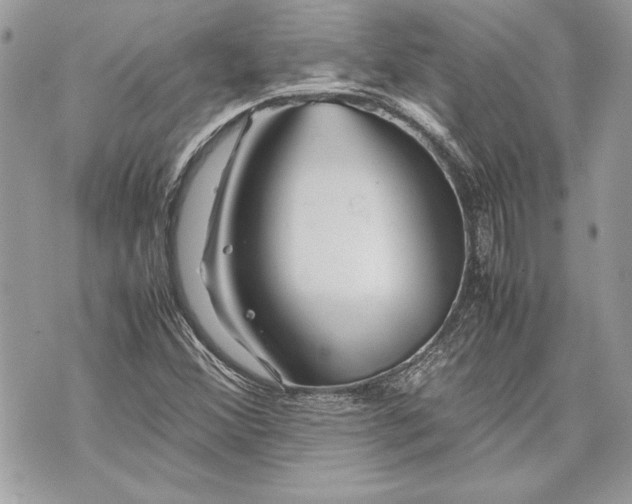 X0000070191356200606161540