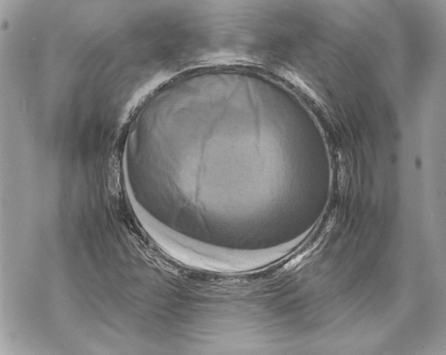 X0000070191358200606161540