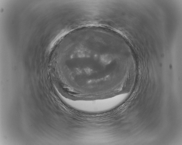 X0000070191359200606161540