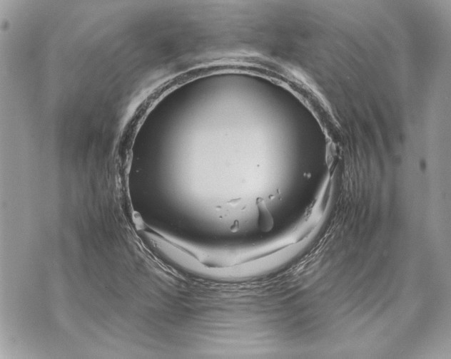 X0000070191360200606161540