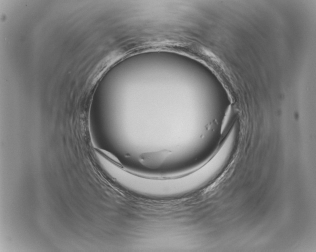 X0000070191361200606161540