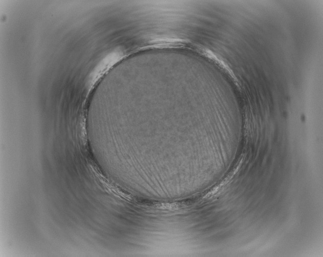 X0000070191362200606161540