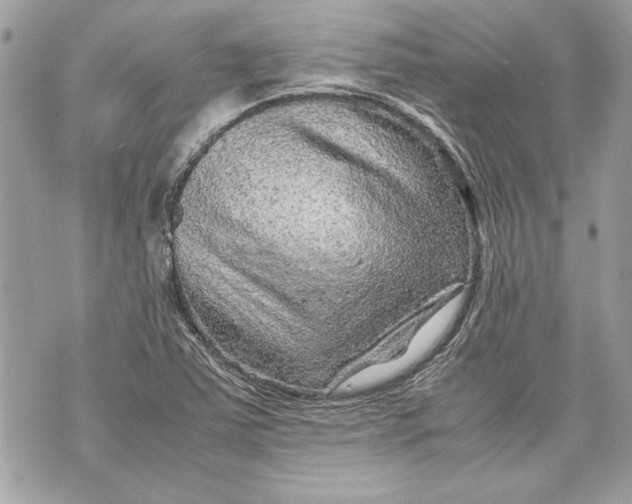 X0000070191363200606161540