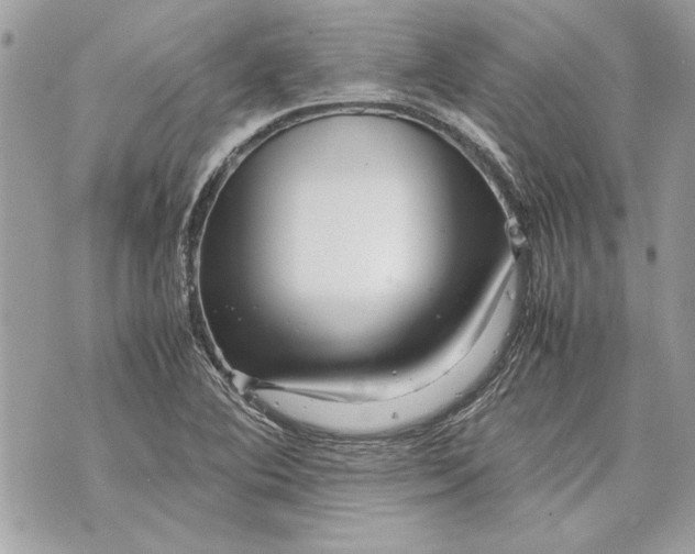 X0000070191364200606161540