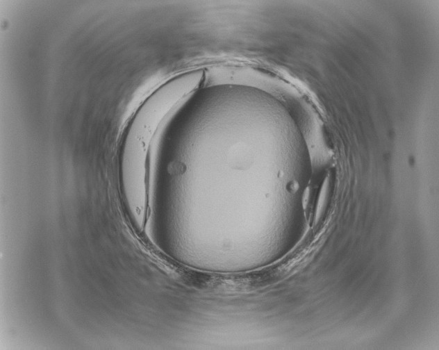 X0000070191365200606161540