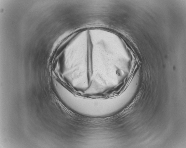 X0000070191366200606161540