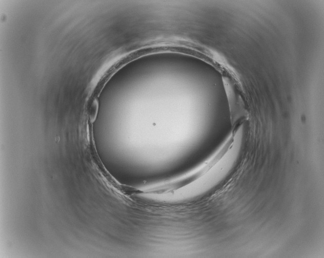 X0000070191368200606161540