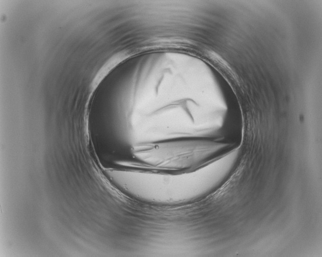 X0000070191370200606161540