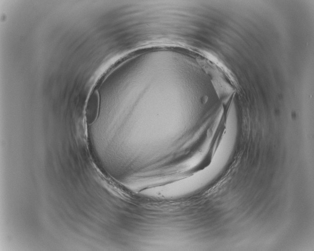 X0000070191372200606161540