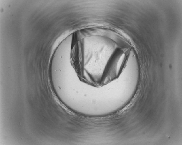 X0000070191373200606161540