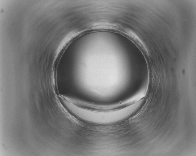 X0000070191376200606161540