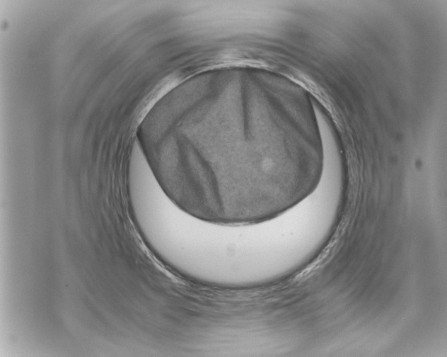 X0000070191377200606161540