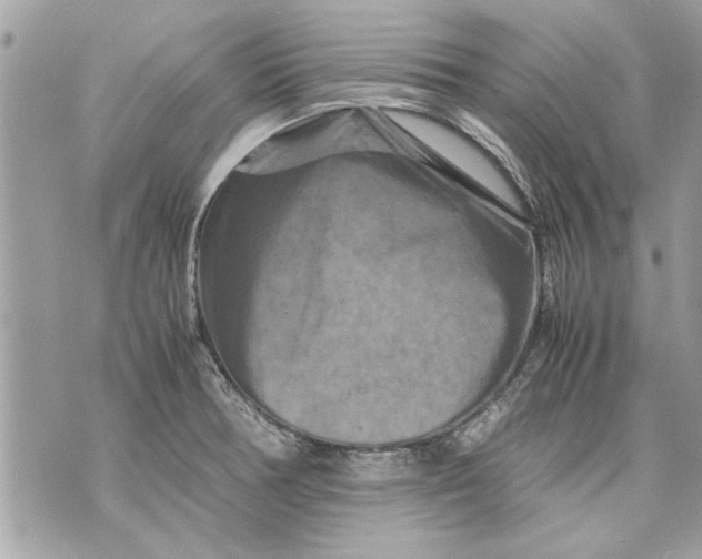 X0000070191378200606161540