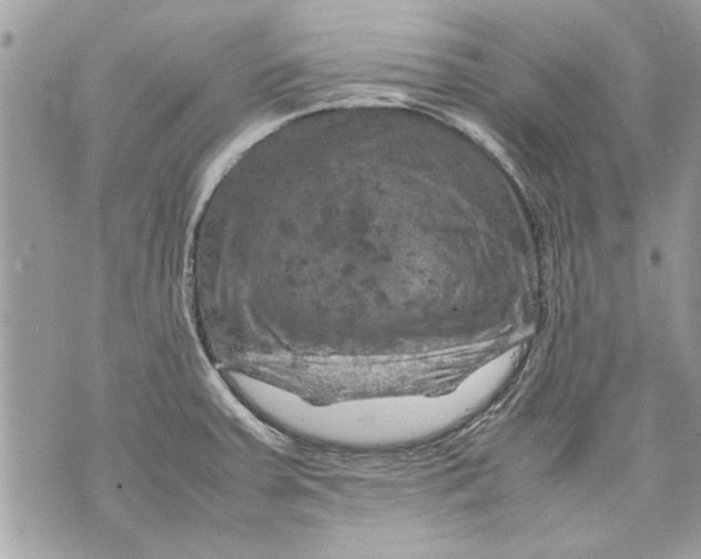 X0000070191379200606161540