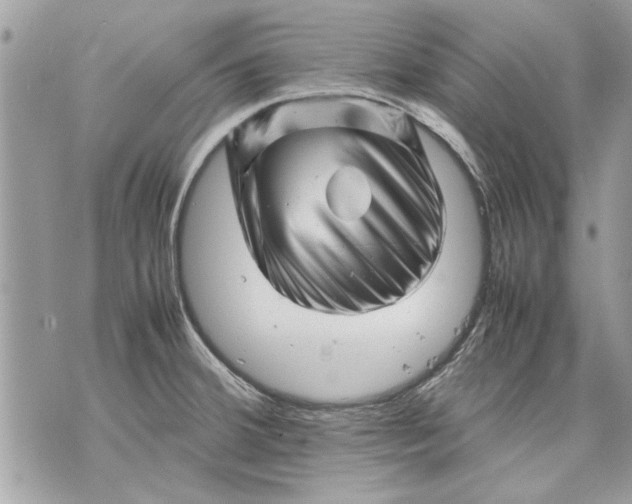 X0000070191380200606161540