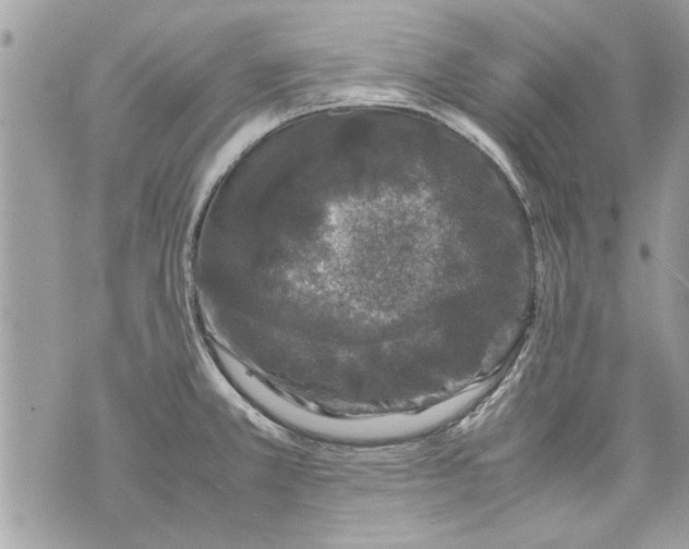 X0000070191381200606161540