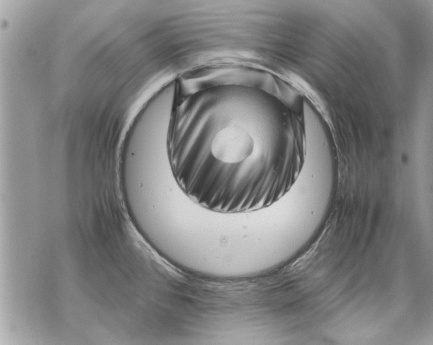 X0000070191384200606161540