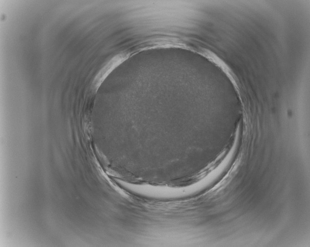 X0000070191385200606161540