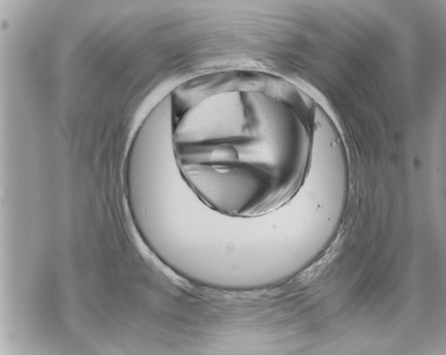 X0000070191389200606161540