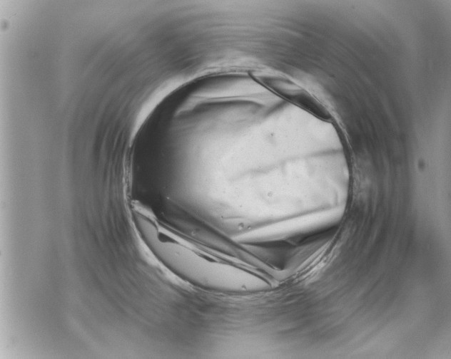 X0000070191390200606161540