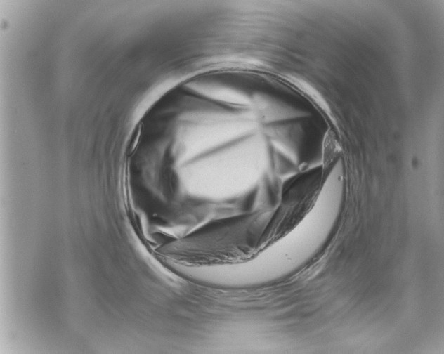 X0000070191391200606161540