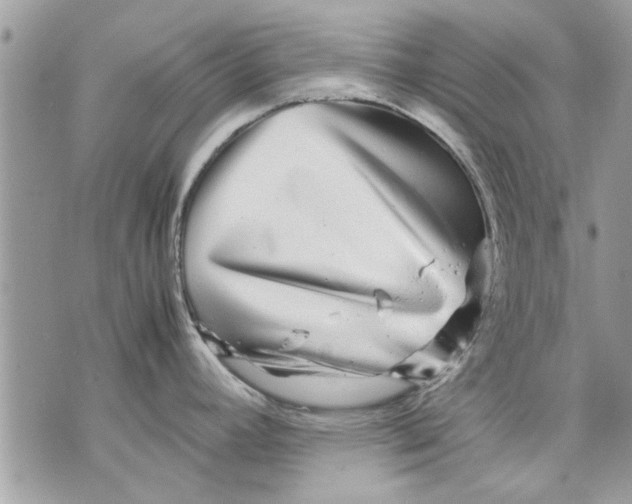 X0000070191392200606161539